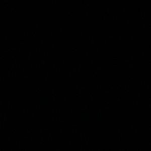 Meet your Posher, Kaitlin